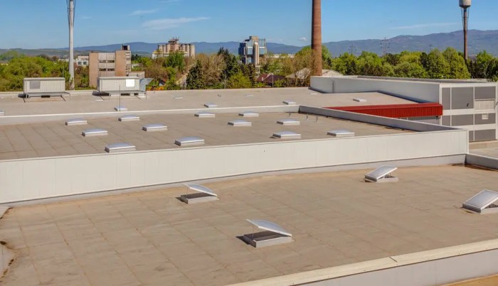 Industrial Flat Roof Assembly: Anatomy and Components - Elite Roofing .<div class=