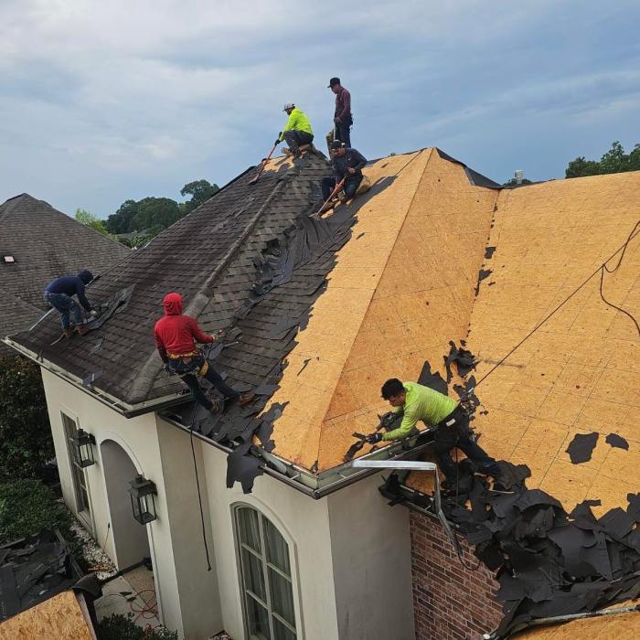 Roofing Repair - Roof Protector