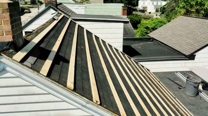 Metal Roof Quote Template